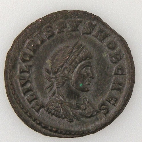 Crispe crispus follis - crispe,, crispus,