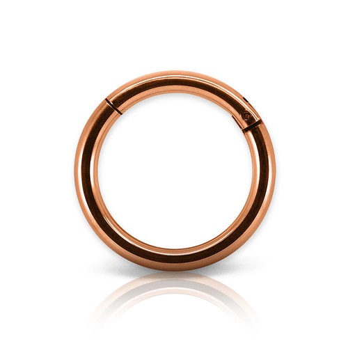 Anneau piercing segment - piercing, septum