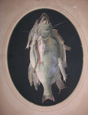 Pêche de Rivière. Belles Prises en reliefs grandeur nature. Curiosité fin XVIIIè