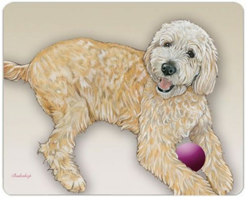 Labradoodle cutting board - labradoodle,