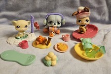 ✨️LPS Littlest Pet Shop