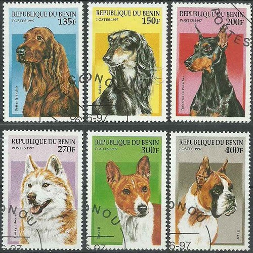 Timbres chiens bénin - chiens, o