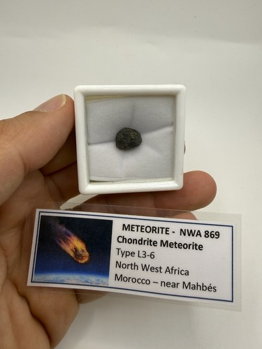 Météorite chondrite nwa - nwa, 869