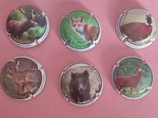 Chasse - 6 Capsules de Champagne 