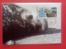 TAAF - CARTE POSTALE - N°0731