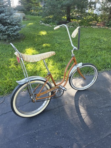 1965 schwinn sting ray - 1965, slik