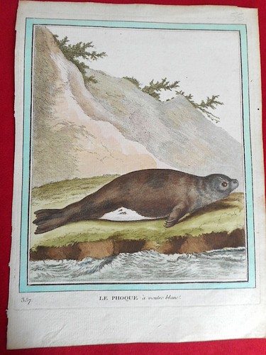 Gravure xviiie histoire - 55,
