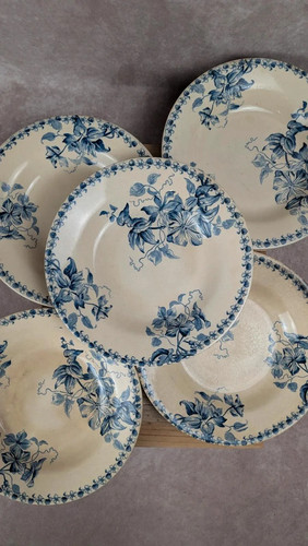 Lot assiettes creuses - 5,