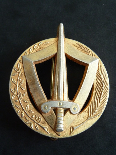 Original militaire insigne - original, de