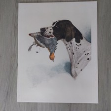 GRANDE GRAVURE CHIEN CHASSE