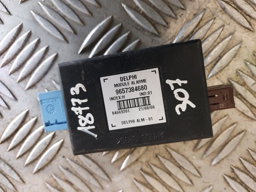 Module alarme peugeot 307 - alarme,