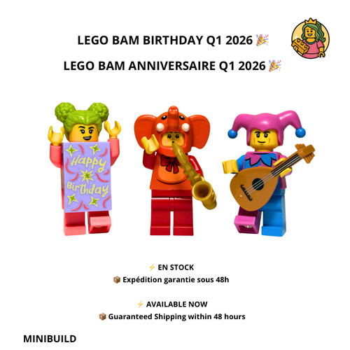 Lego minifigures bam birthday - minifigures,