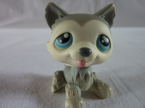 Petshop lps littlest - lps,