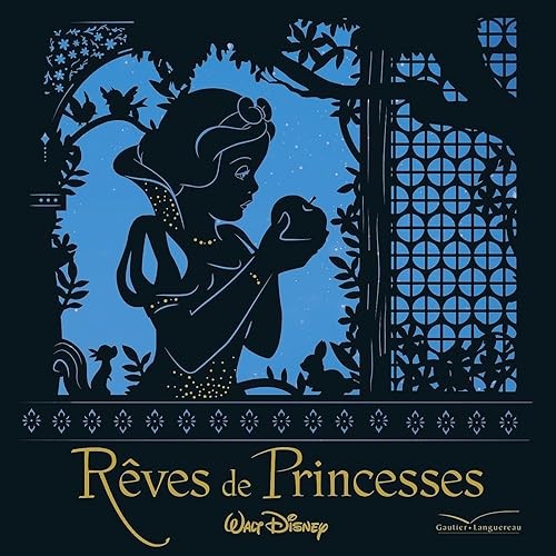 Rêves princesses disney - rêves,