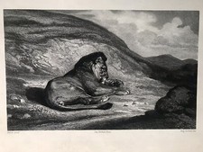 ÉCOLE FRANÇAISE LITHOGRAPHIE ANTOINE-LOUIS BARYE LION XIX 19eme ROMANTISME
