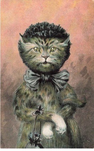 Mikii 029 chat noeud papillon - chat,