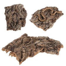 4 Pcs Accessoires Leopard Terrarium Tortue Terrestre Pour De Dragon Barbu