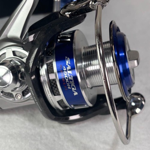 Daiwa saltiga 4500h - daiwa,