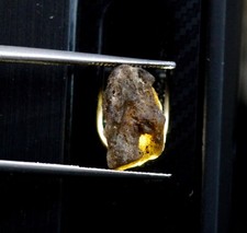 Darwin Glass Darwinite