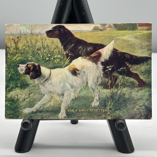 1907 antique dog portrait - 1907, a