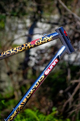 Kit stickers sunn - stickers, vtt