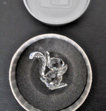 Ecureuil cristal de - ecureuil,