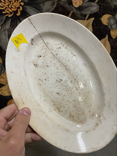 Plat sarreguemines vaisselle - sarreguemines,