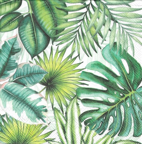 Lot serviettes en papier - 2,