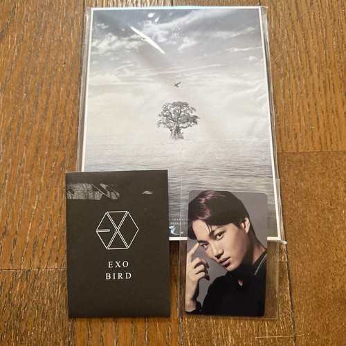 Exo bird single album dvd - exo,