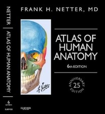 Atlas D'Anatomie Humaine