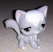 Petshop chat angora 954