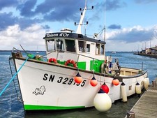 Le chalutier: " TOISON D'OR " - 40 X 30 - Neuf -