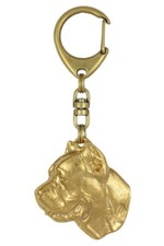 Cane Corso, Italien Corso-Hund, Cane Di Macellaio - Doré