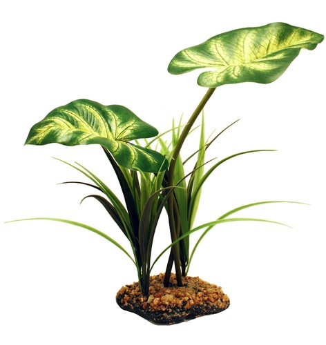 Terrarium vivarium large - terrarium,