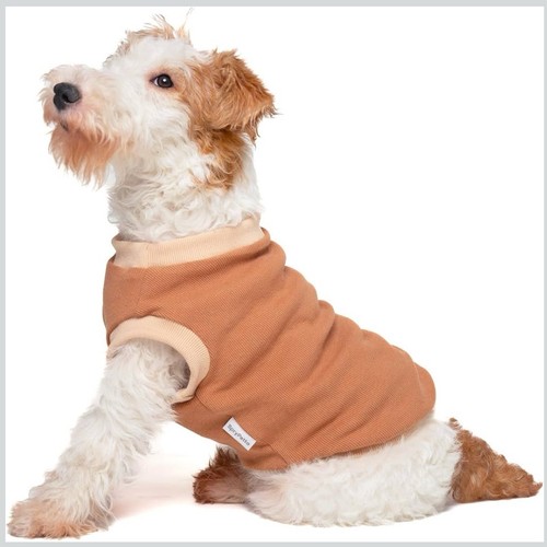Dog shirt cotton comfy - cotton,