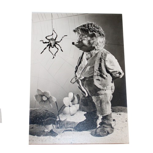 Ancienne carte postale steiff - postale,