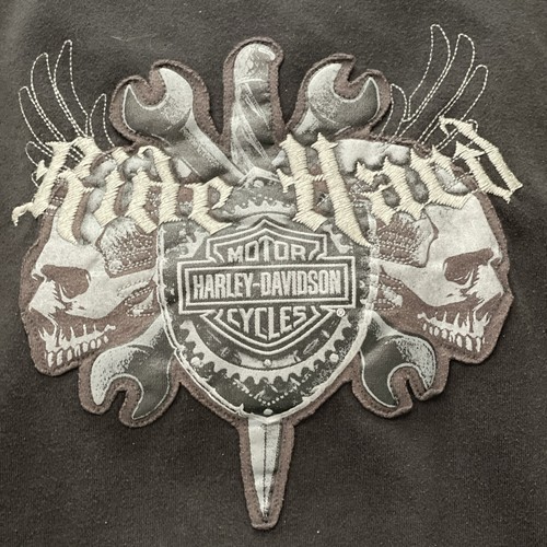 Harley davidson hoodie - hoodie, vest
