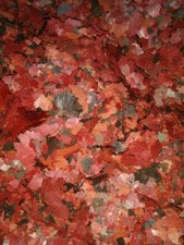 COLOR FLAKE FOOD FLOCONS TOUS