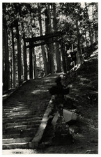 Japon, Mont Mitake, escalier vers le temple du sommet Mitake-Jinsha Photo prise 