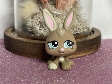 🌸 petshop lapin Lapereau