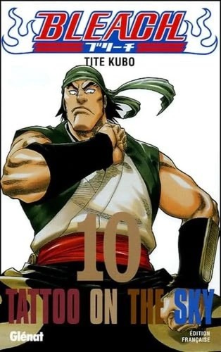 Bleach tome - bleach, 10