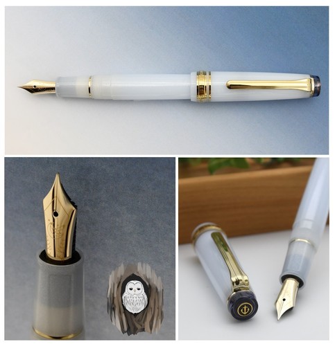 Stylo plume sailor pro - stylo,