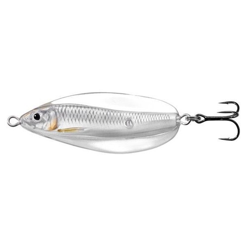 Live target erratic shiner - live,
