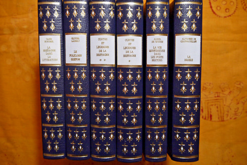 Lot livres quotidien en - ,