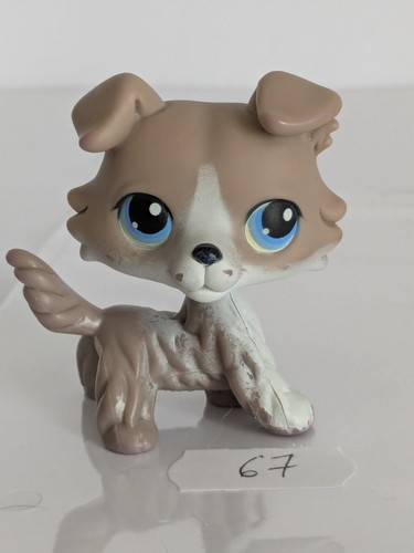 Authentique petshop chien - authentique,