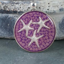 Etoile de mer ronde violette x