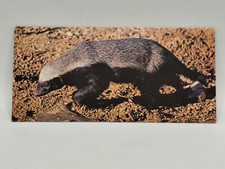 Nestlé MERVEILLES DU MONDE Carte N°141 "le ratel"