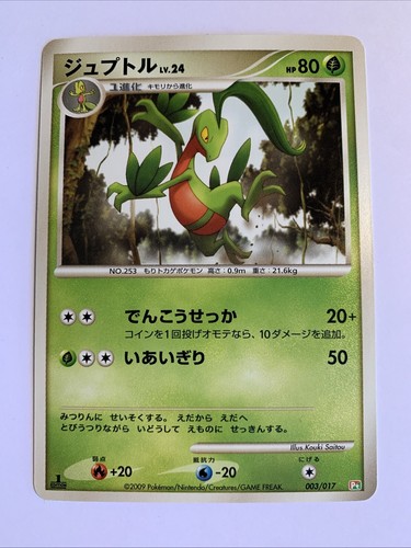 Pokemon card carte grovyle - pokemon,