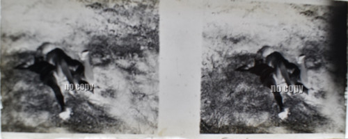 Femmes nues 1920 - nues, verre
