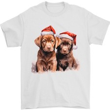 Labrador Chocolat Noël Chiots